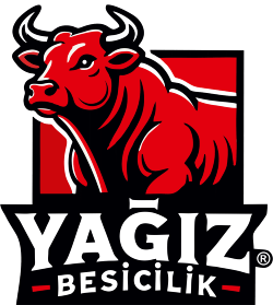 İstanbul Kurban Adak  | Kurban ve Adak Siparişi, Vekaletle Kesim